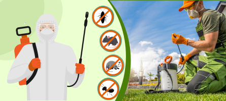 Emergency Pest Control Greensborough